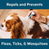 Wondercide Flea & Tick Spot On Spray for Small Dogs - Peppermint  