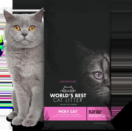 World's Best Cat Litter Pink Bag Picky Cat Litter - 6 lb Bag - Case of 5  