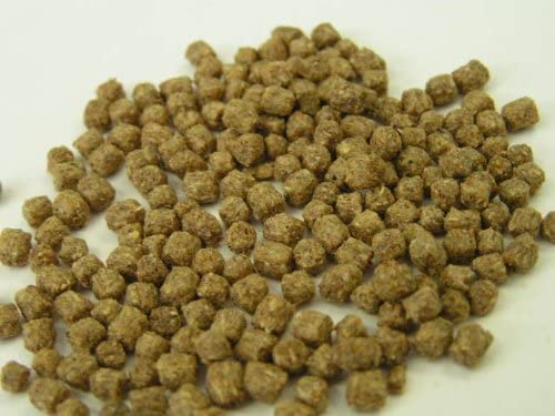 Zeigler Bros 1/4" Finfish Broodstock (Slow Sinking) Fish Food - 44 lb Bag  