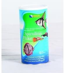 Zeigler Bros Spirulina Flake Fish Food - 5 lb Bag  