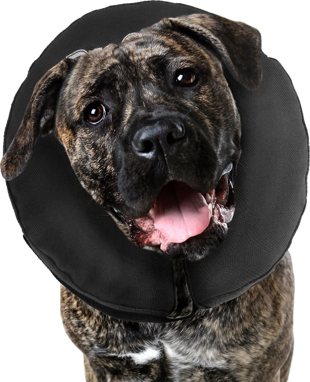 ZenPet ZenCollar Inflatable Recovery Collar - 2XL  