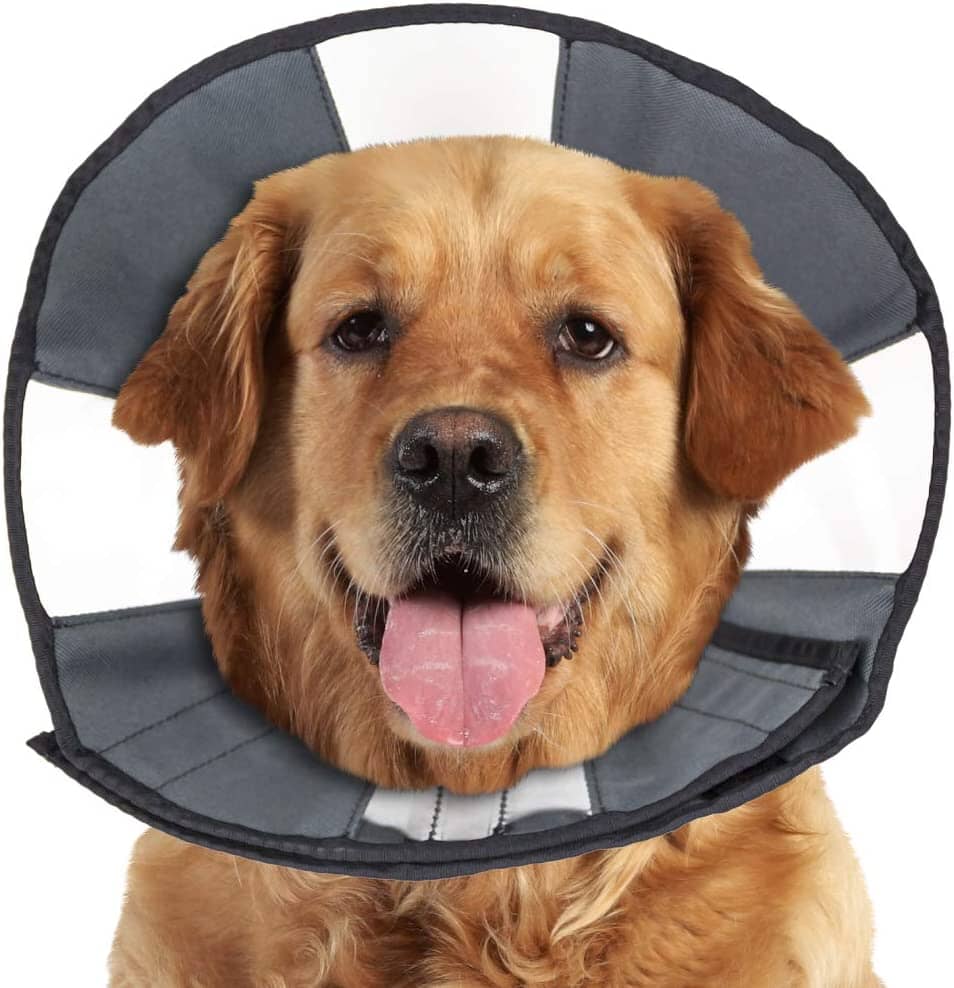 ZenPet ZenCone Soft Recovery Collar - Extra Large  