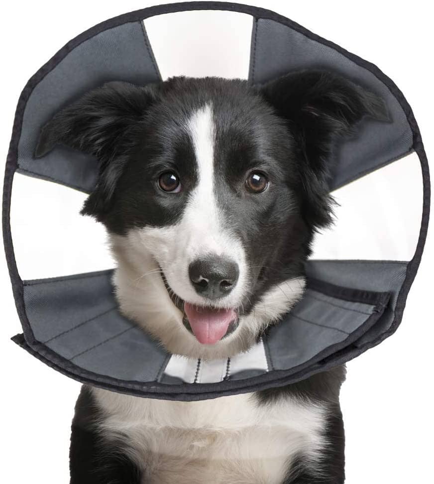 ZenPet ZenCone Soft Recovery Collar - Large  