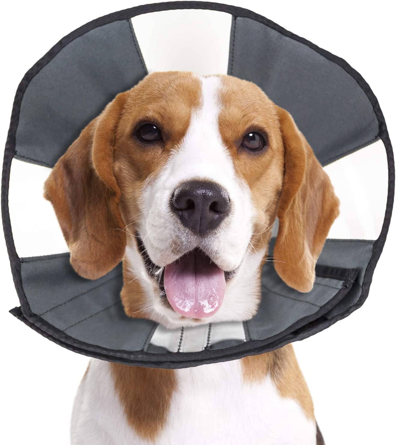 ZenPet ZenCone Soft Recovery Collar - Medium  