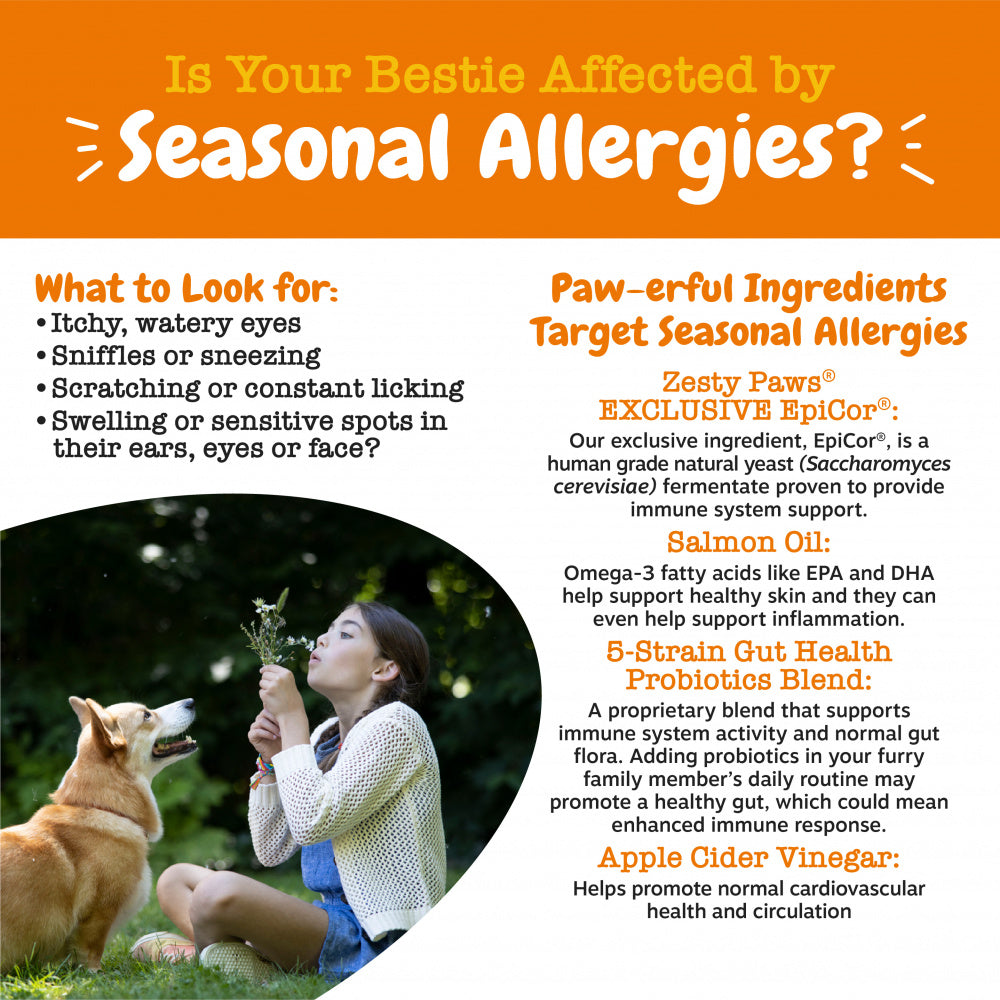 Zesty Paws Aller-Immune Bites for Seasonal Allergies Lamb Flavor Immune Function   Sensitive Skin & Gut Health for Dogs  