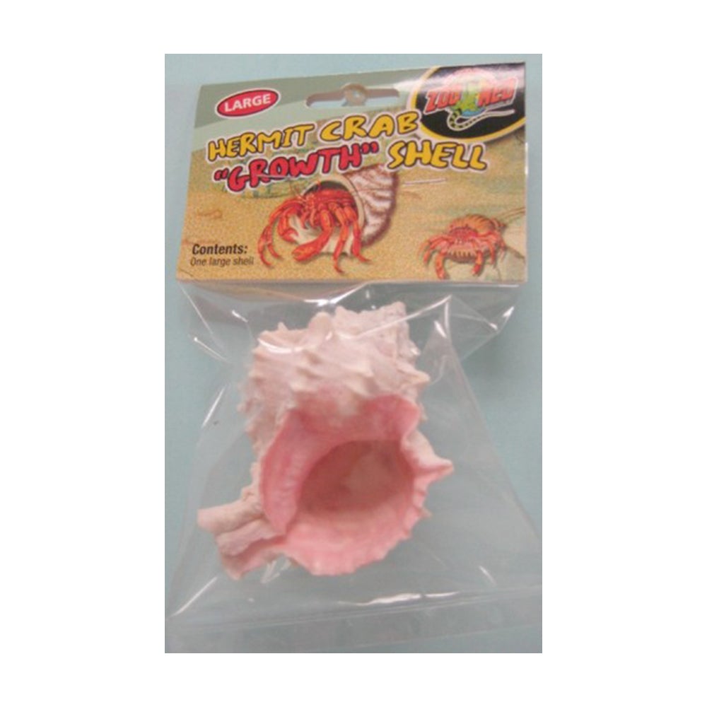 Amphibian / Herptile: Hermit Crab Sponge