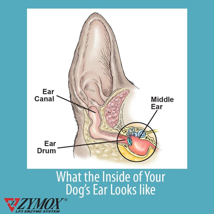 Zymox Pet Ear Care Hydrocortisone Free Dog Ear Care - 1.25 Oz